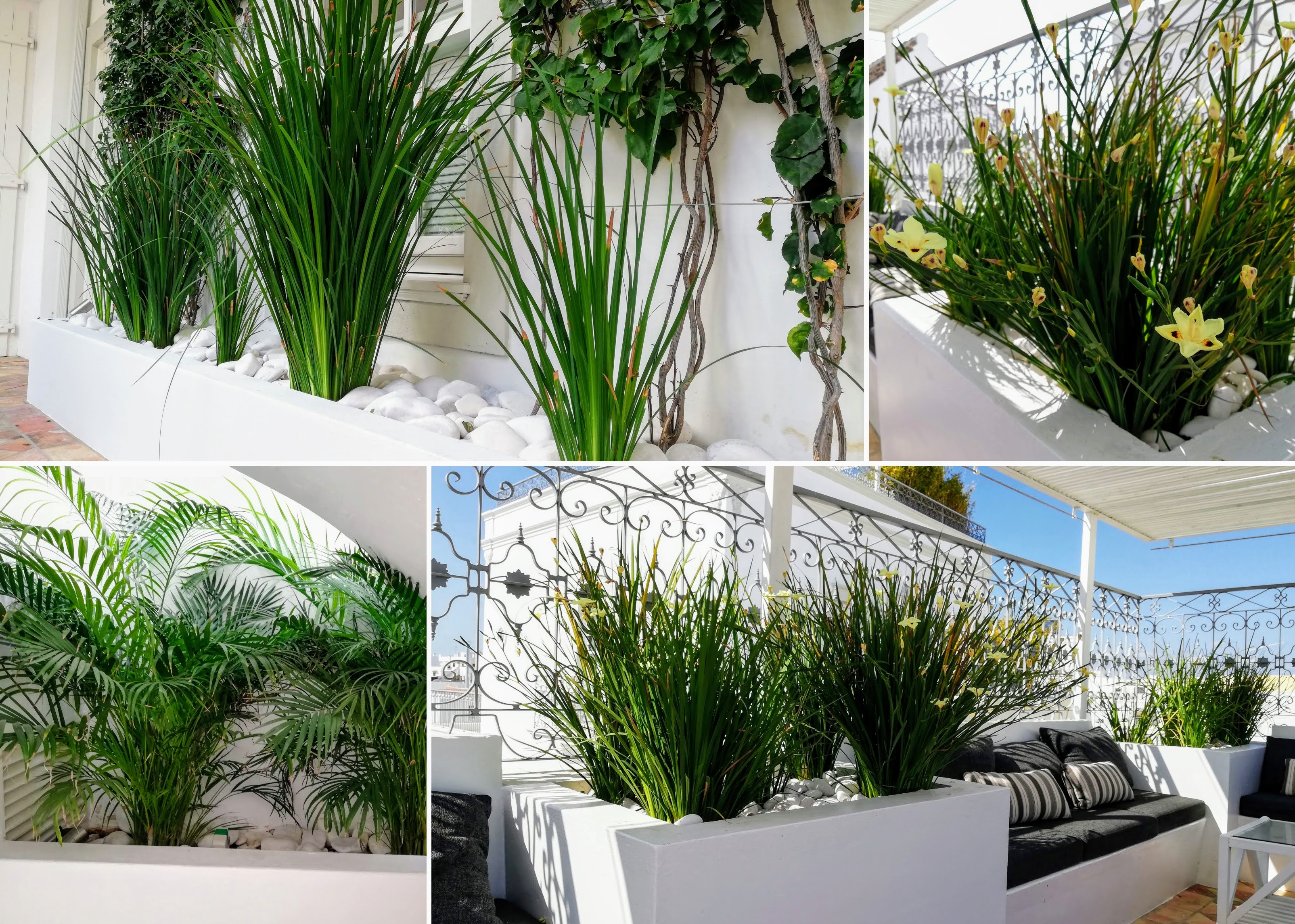 Casa Fuzetta - Image 5